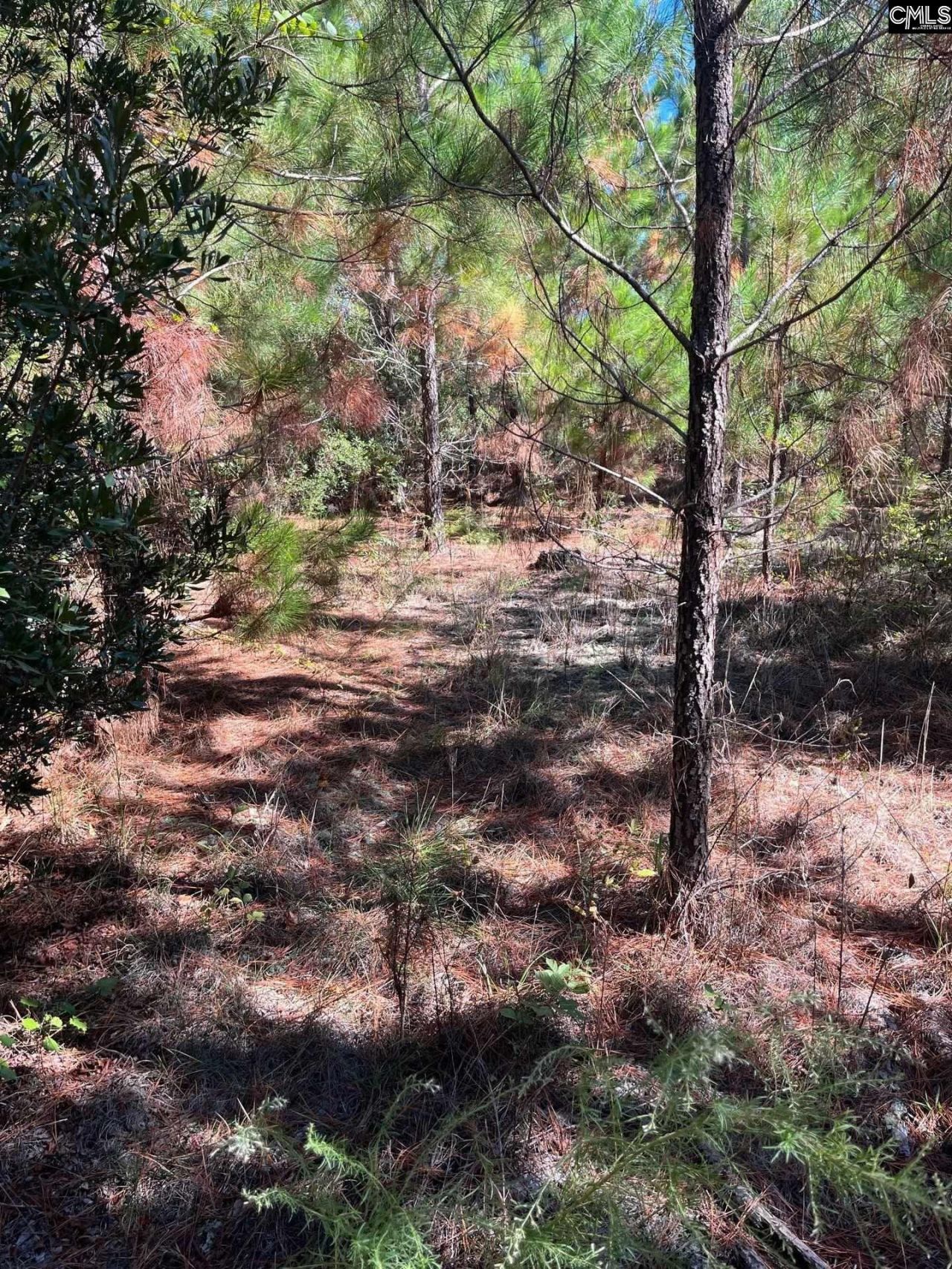 Bff 1b Jc Barefoot Road Photo 17