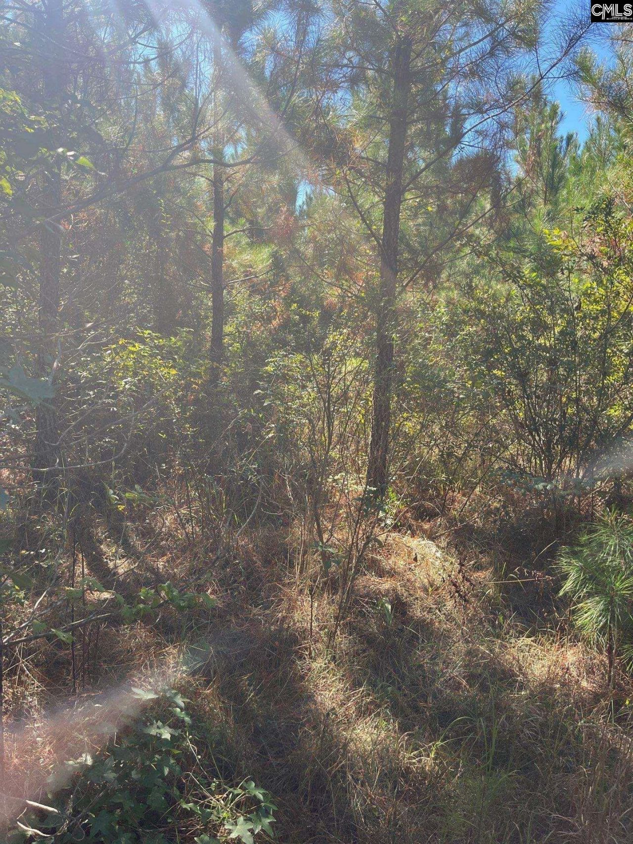 Bff 1b Jc Barefoot Road Photo 19