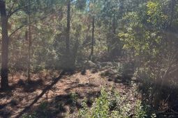 Bff 1b Jc Barefoot Road photo 4