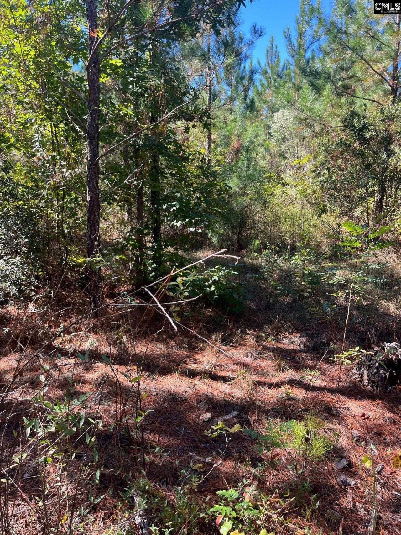 Bff 1b Jc Barefoot Road Photo 20