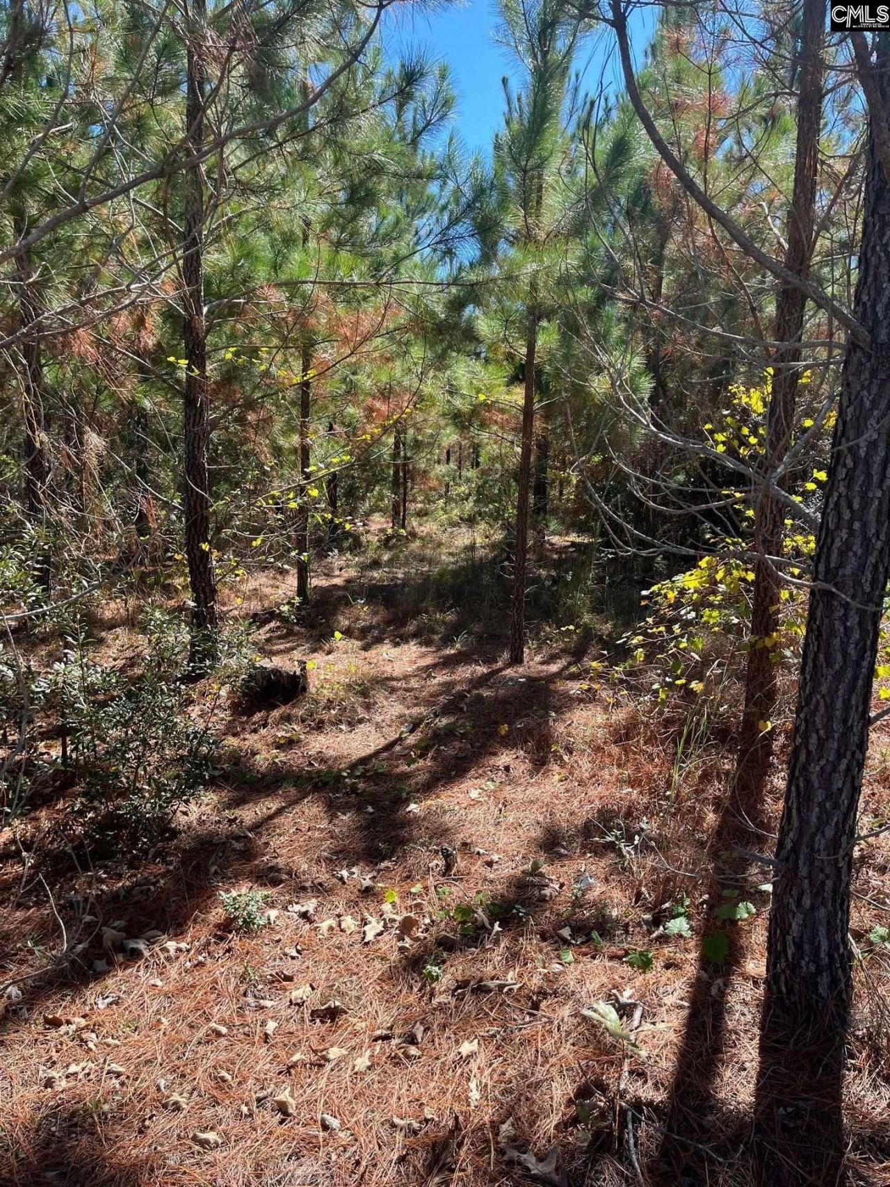 Bff 1b Jc Barefoot Road Photo 23