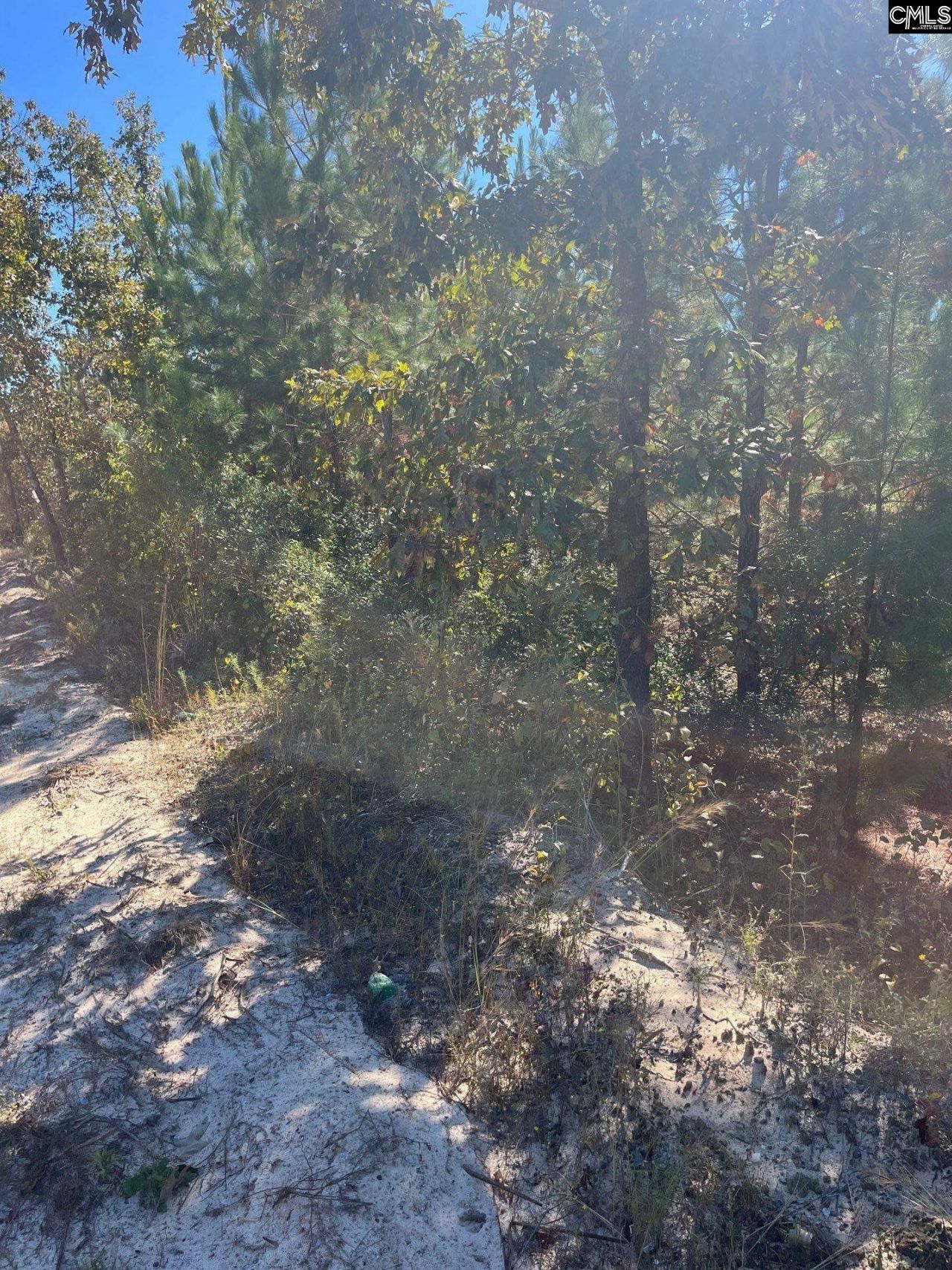 Bff 1b Jc Barefoot Road Photo 25