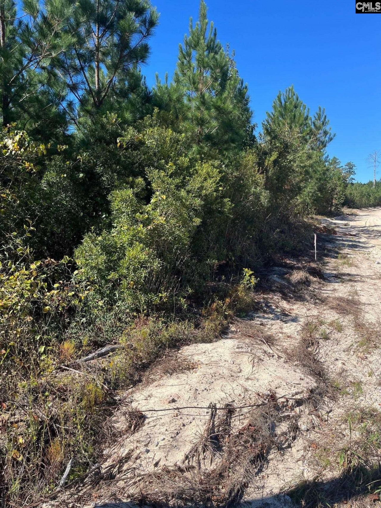 Bff 1b Jc Barefoot Road Photo 26