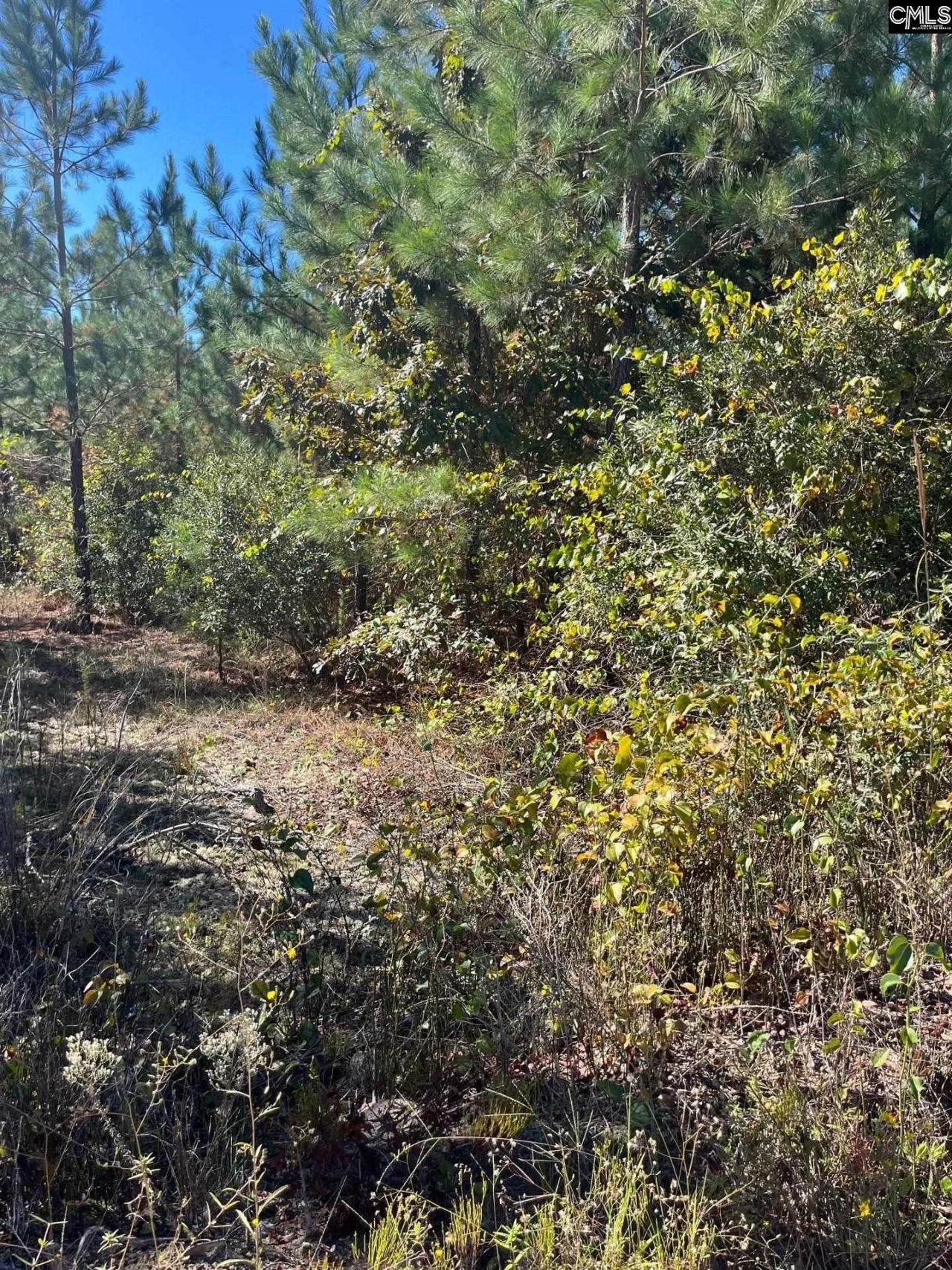 Bff 1b Jc Barefoot Road Photo 27