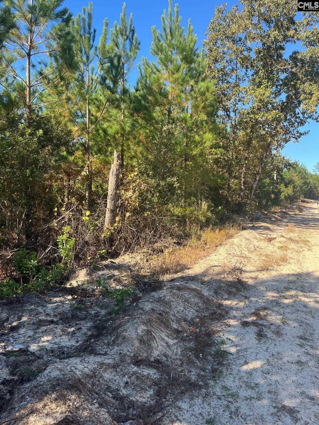 Bff 1b Jc Barefoot Road Photo 28