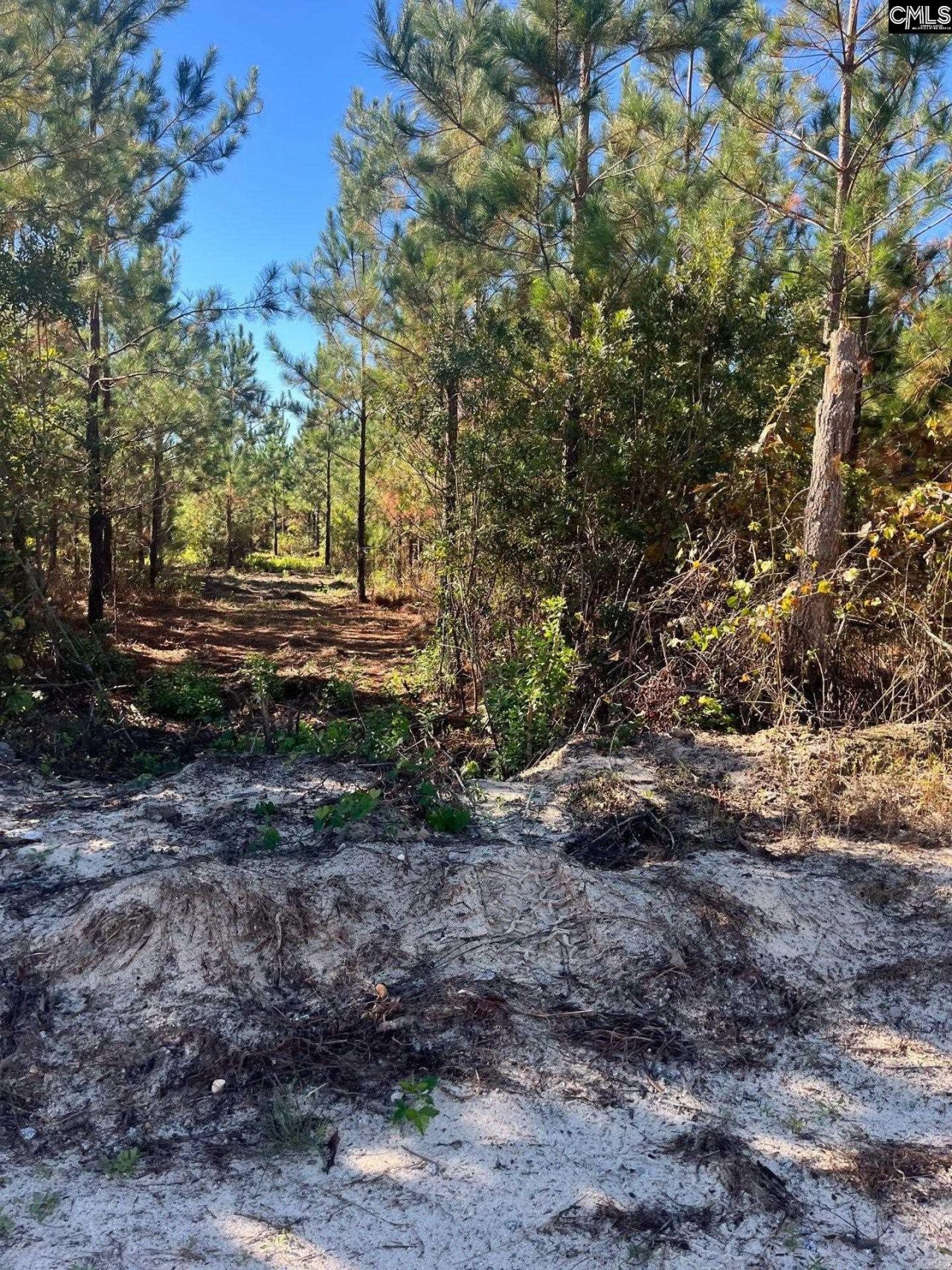 Bff 1b Jc Barefoot Road Photo 29