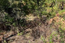 Bff 1b Jc Barefoot Road photo 4