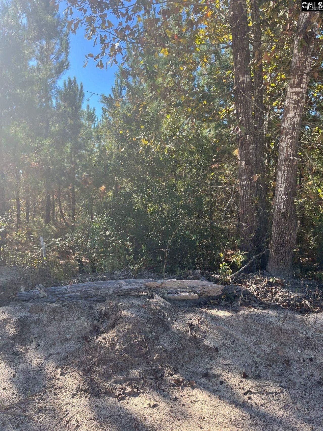 Bff 1b Jc Barefoot Road Photo 30