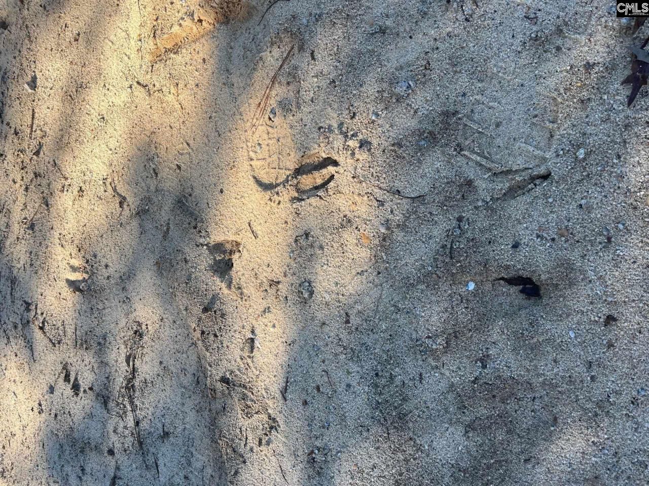 Bff 1b Jc Barefoot Road Photo 31