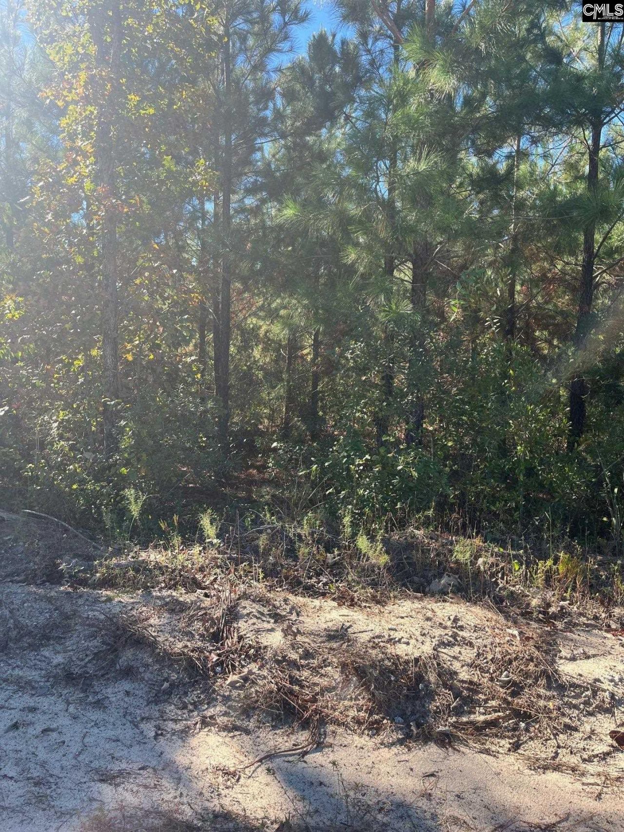 Bff 1b Jc Barefoot Road Photo 34