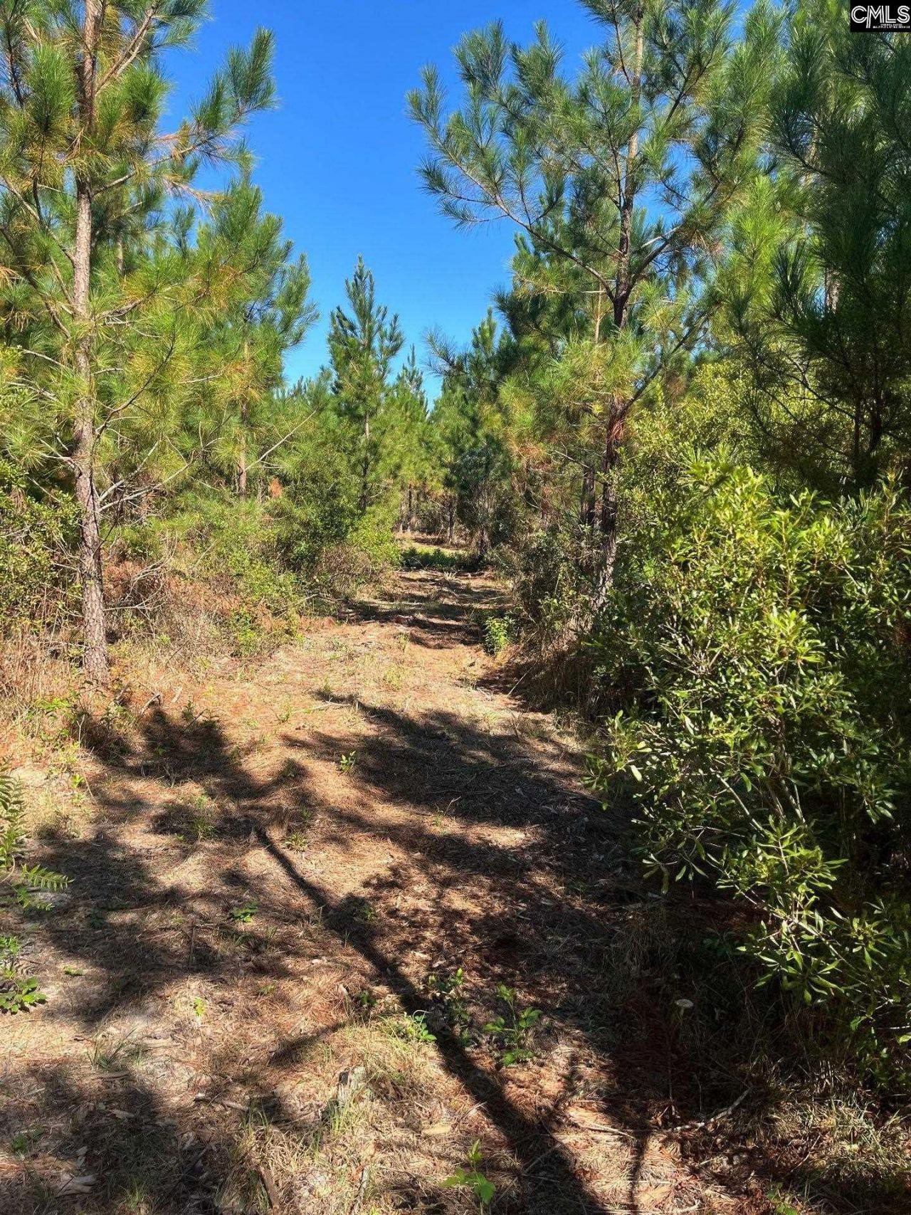 Bff 1b Jc Barefoot Road Photo 4