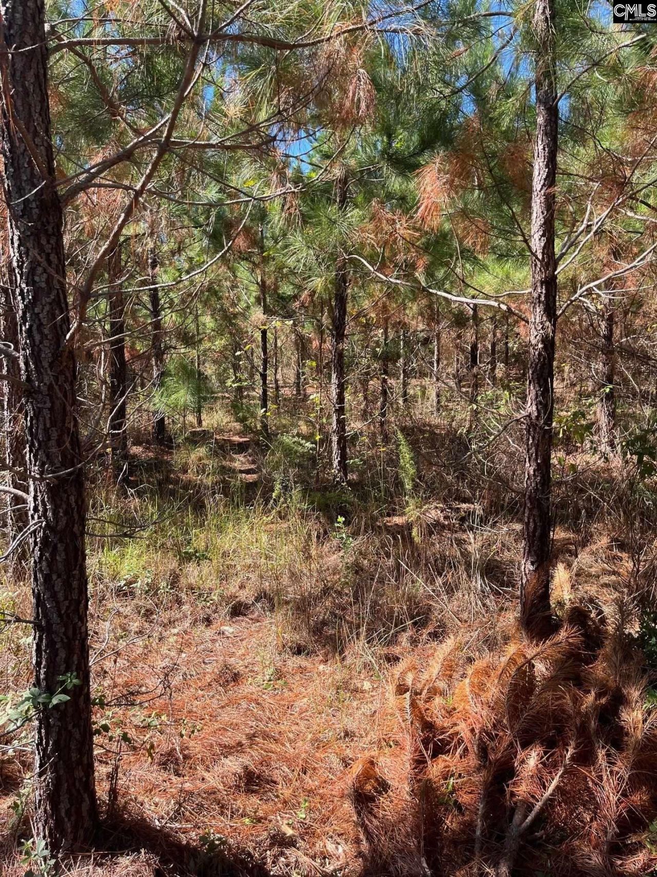 Bff 1b Jc Barefoot Road Photo 5