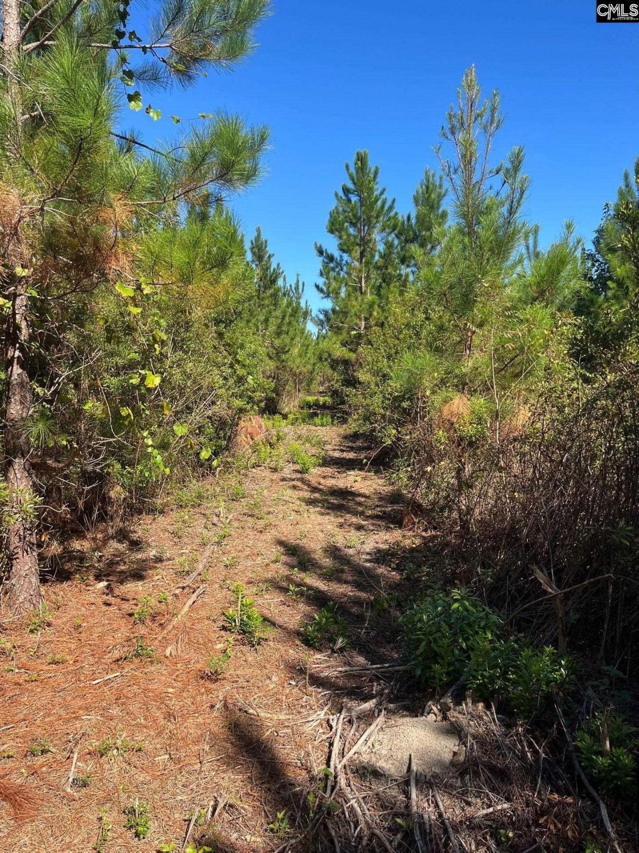 Bff 1b Jc Barefoot Road Photo 6