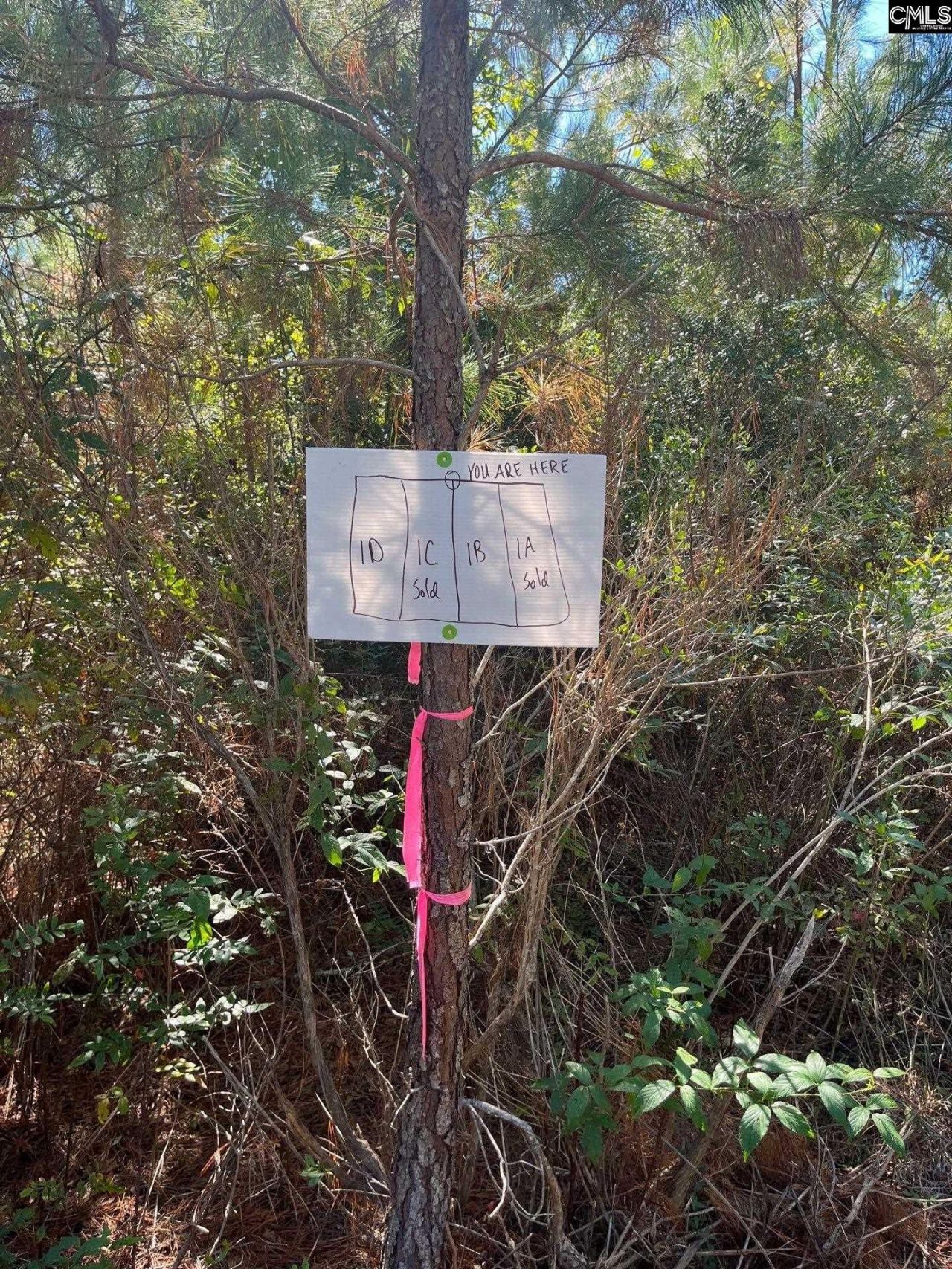 Bff 1b Jc Barefoot Road Photo 7