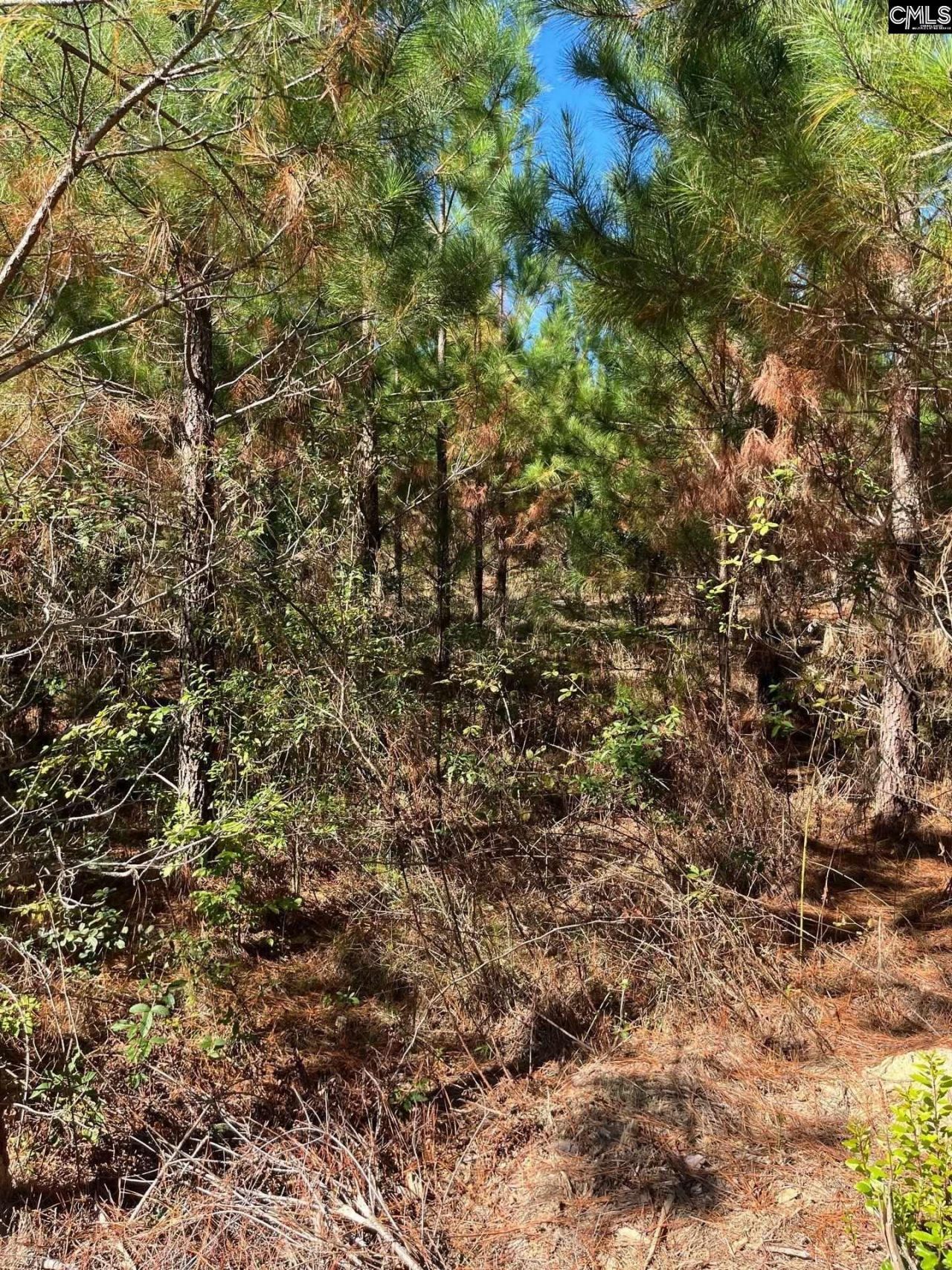 Bff 1b Jc Barefoot Road Photo 8