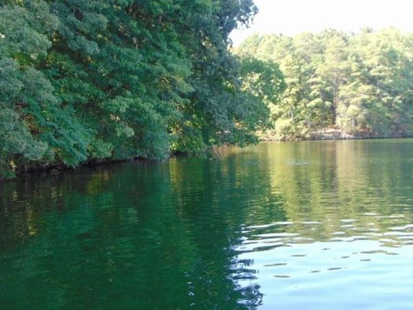 LOT 10 Natures Cv, Florence, AL 35630