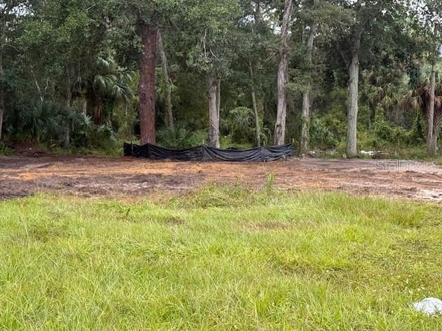 2794 S Ridgewood Avenue S, Edgewater, FL 32141 Photo