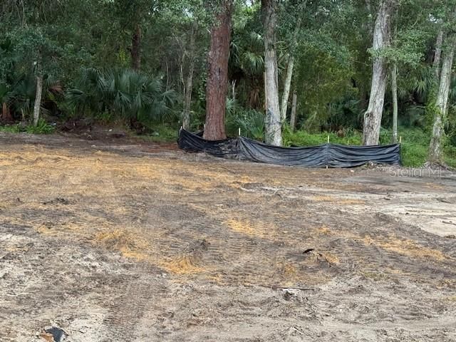 2794 S Ridgewood Avenue S, Edgewater, FL 32141 Photo