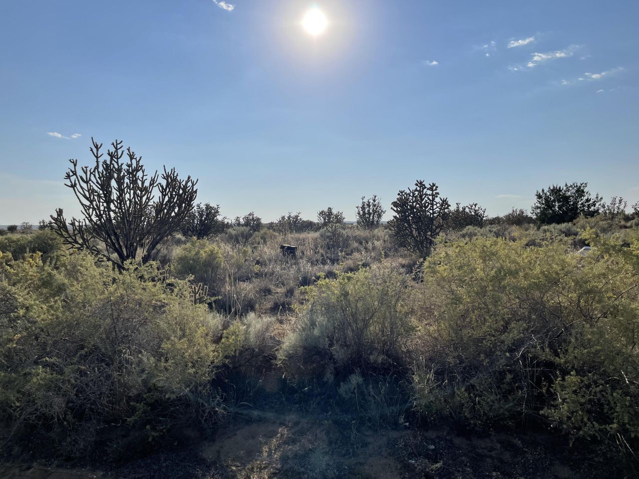 1309 11th Street Sw, Rio Rancho, NM 87124 Main Photo