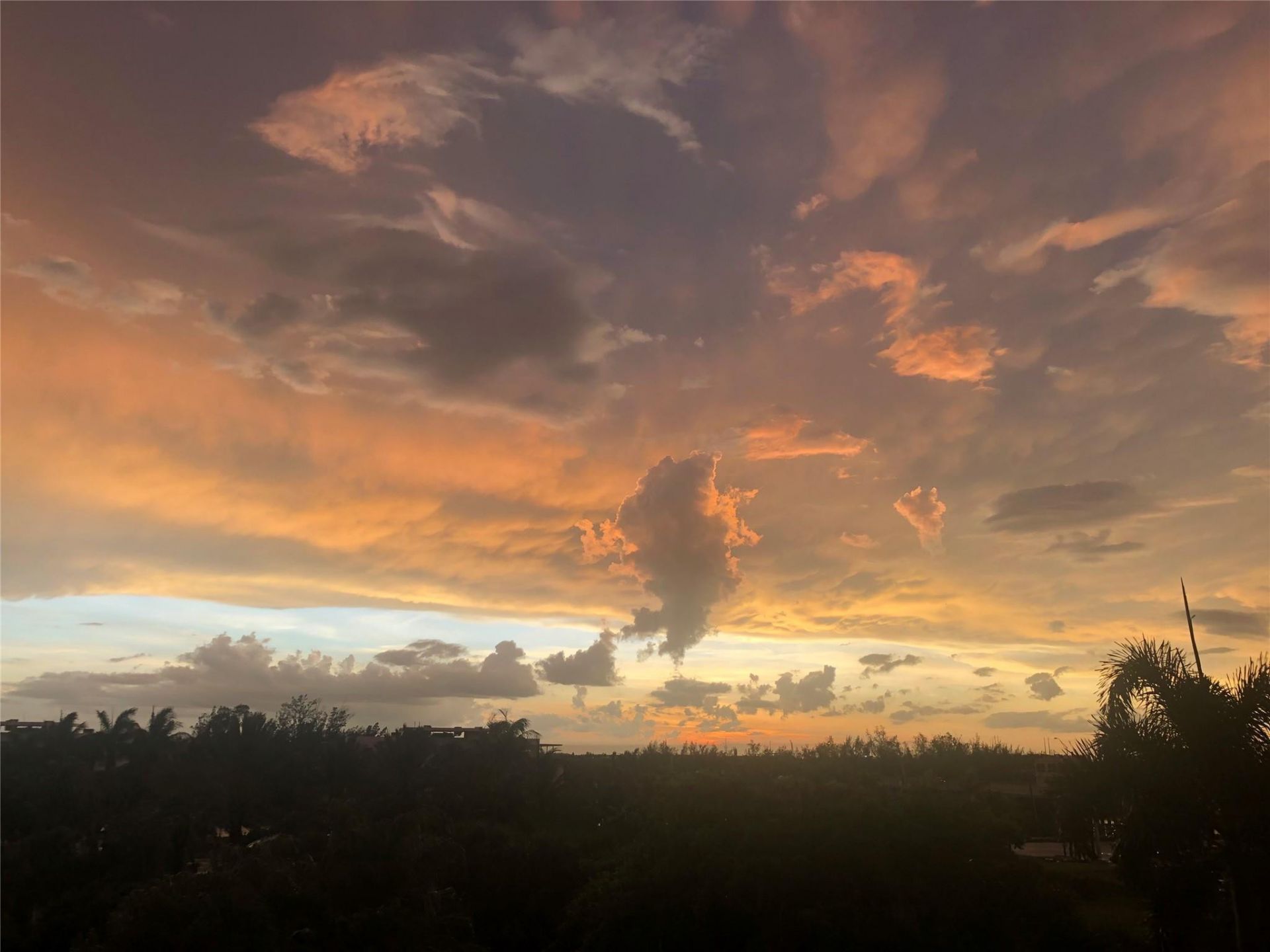 6001 N Ocean Drive, Unit 403, Hollywood, FL 33019 Photo