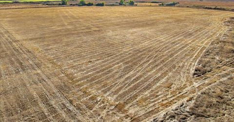 10-ac Westland Rd, Lincoln, CA 95648 Photo