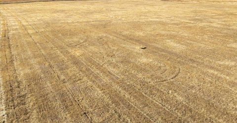 10-ac Westland Rd, Lincoln, CA 95648 Photo