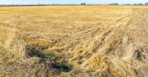 10-ac Westland Rd, Lincoln, CA 95648 Photo