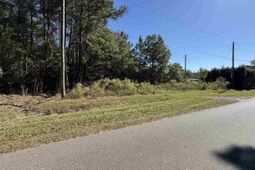 Tbd Tharpe Rd. photo 4