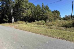 Tbd Tharpe Rd. photo 4