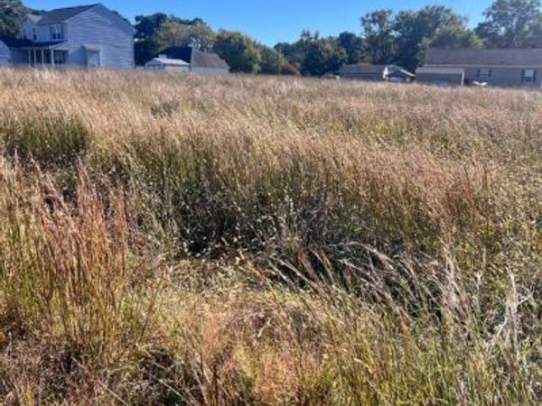 Lot 56 CABIN POINT DRIVE, MONTROSS, VA 22520