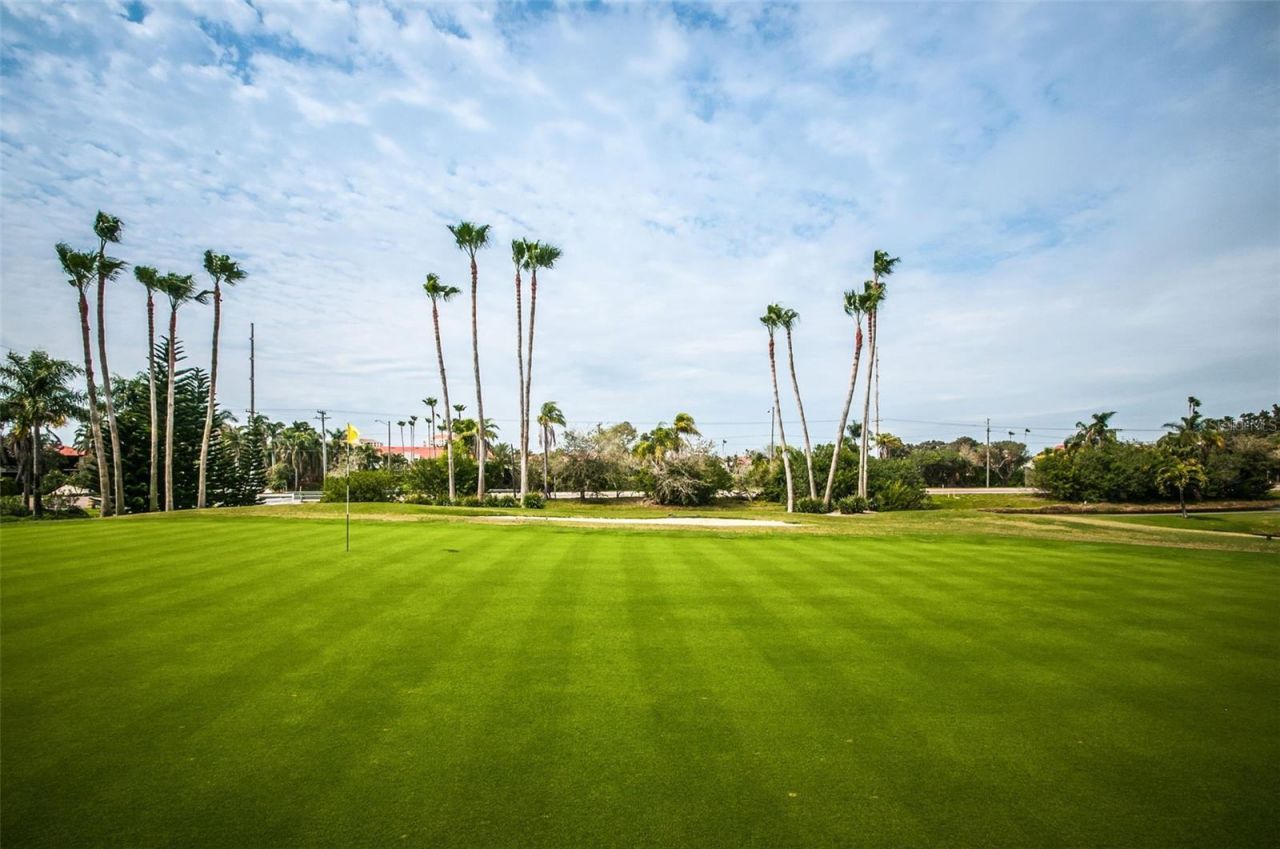 6322 Palma Del Mar Boulevard S, Unit 1104, Saint Petersburg, FL 33715 Photo