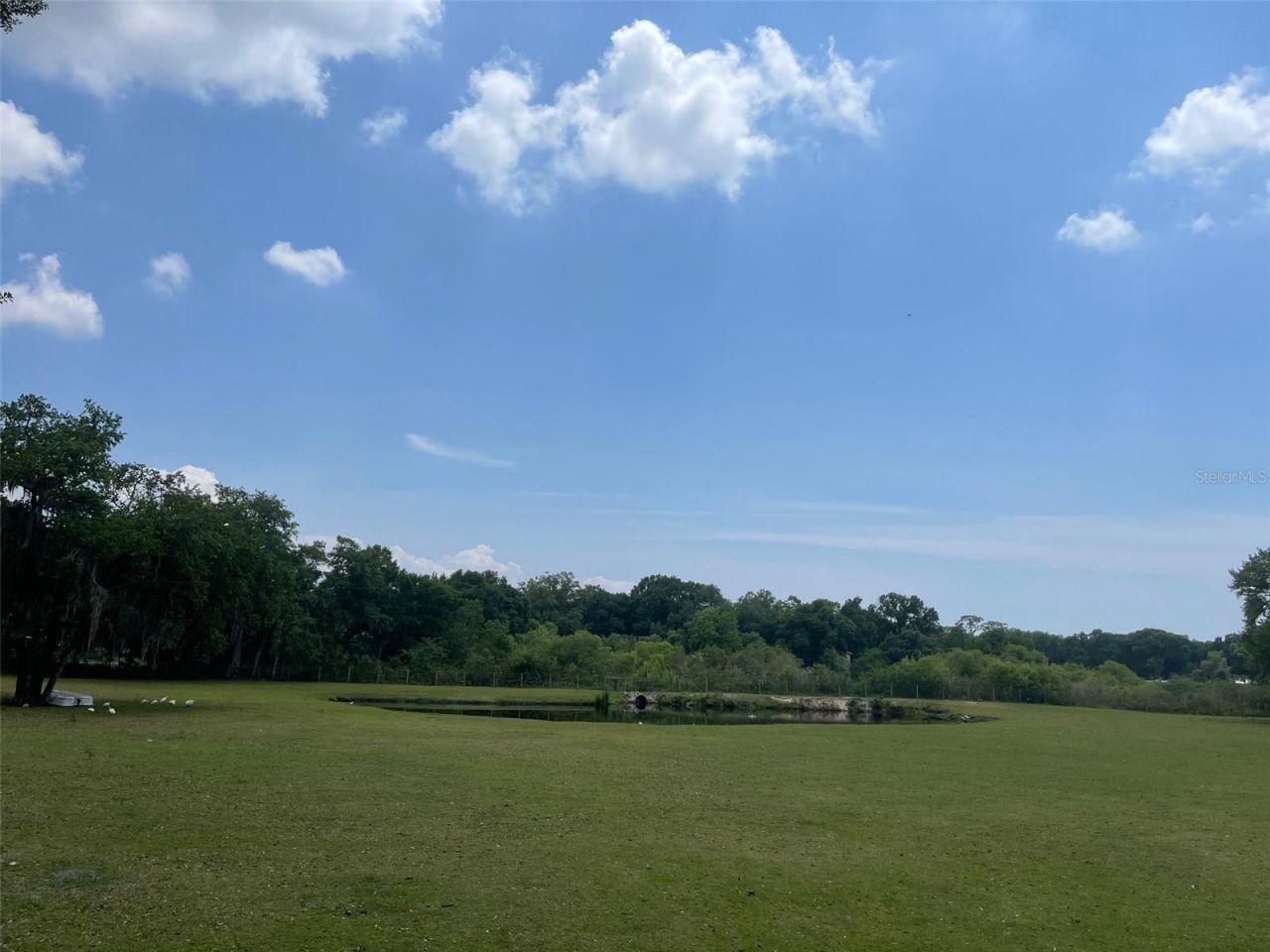 6003 16th Avenue S, Tampa, FL 33619 Photo