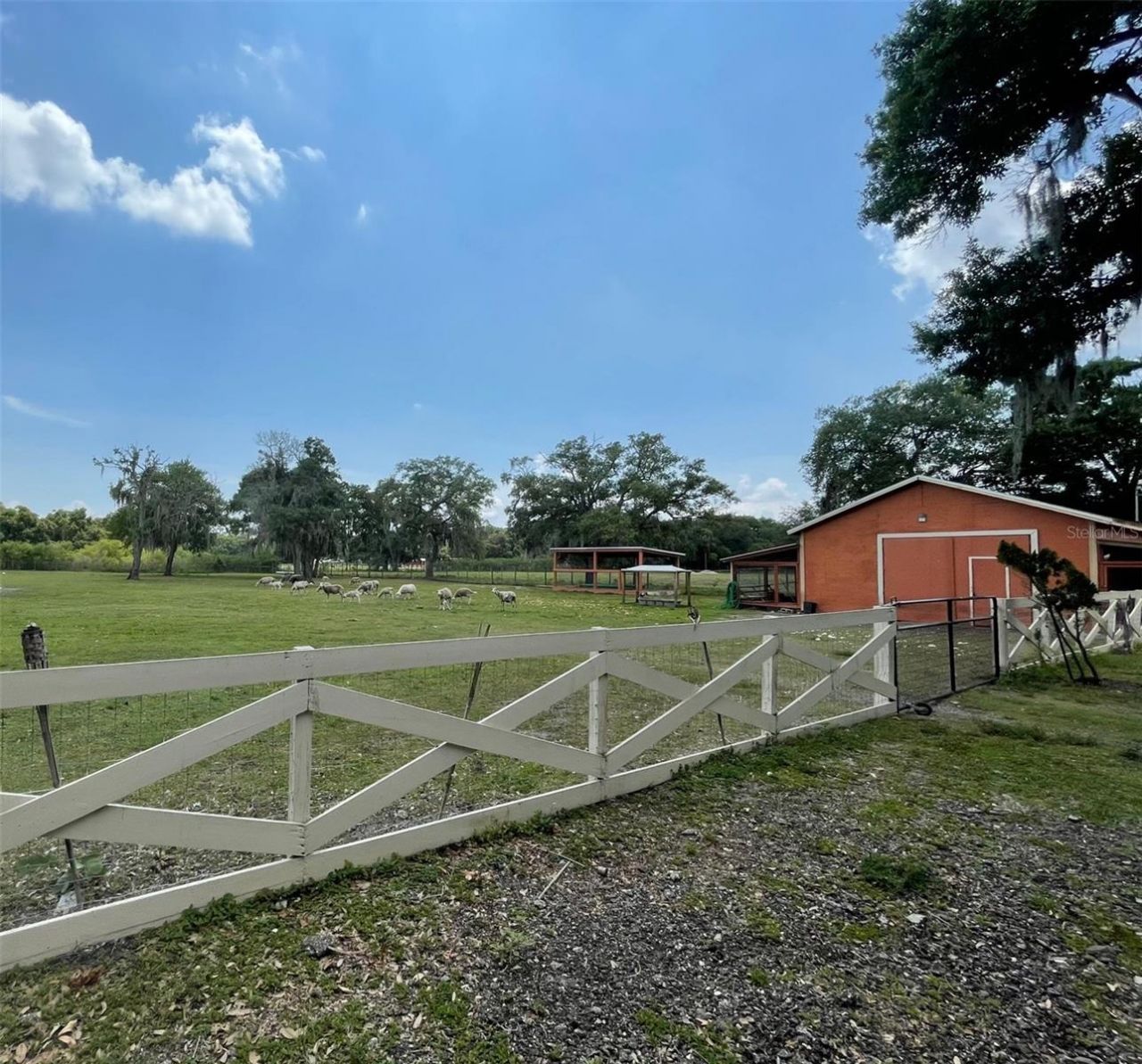 6003 16th Avenue S, Tampa, FL 33619 Photo