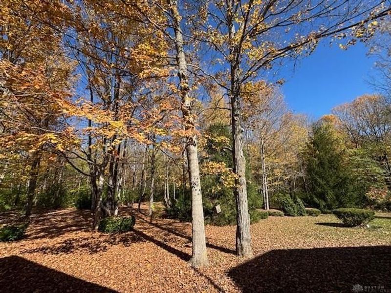 6051 Sonora Road, Lewisburg, OH 45338 Photo 49