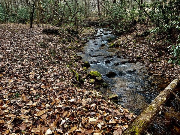 22/AC TBD Sciota Road, Elizabethton, TN 37643