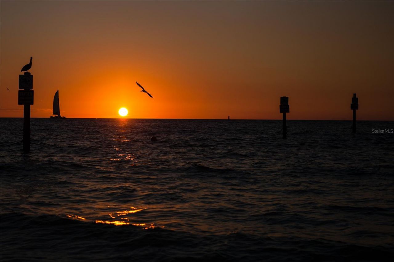 1216 S Missouri Avenue, Unit 220, Clearwater, FL 33756 Photo