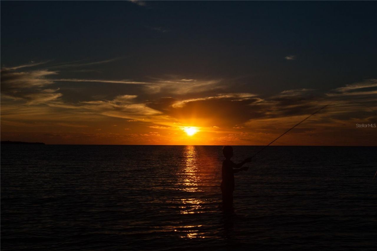 1216 S Missouri Avenue, Unit 220, Clearwater, FL 33756 Photo