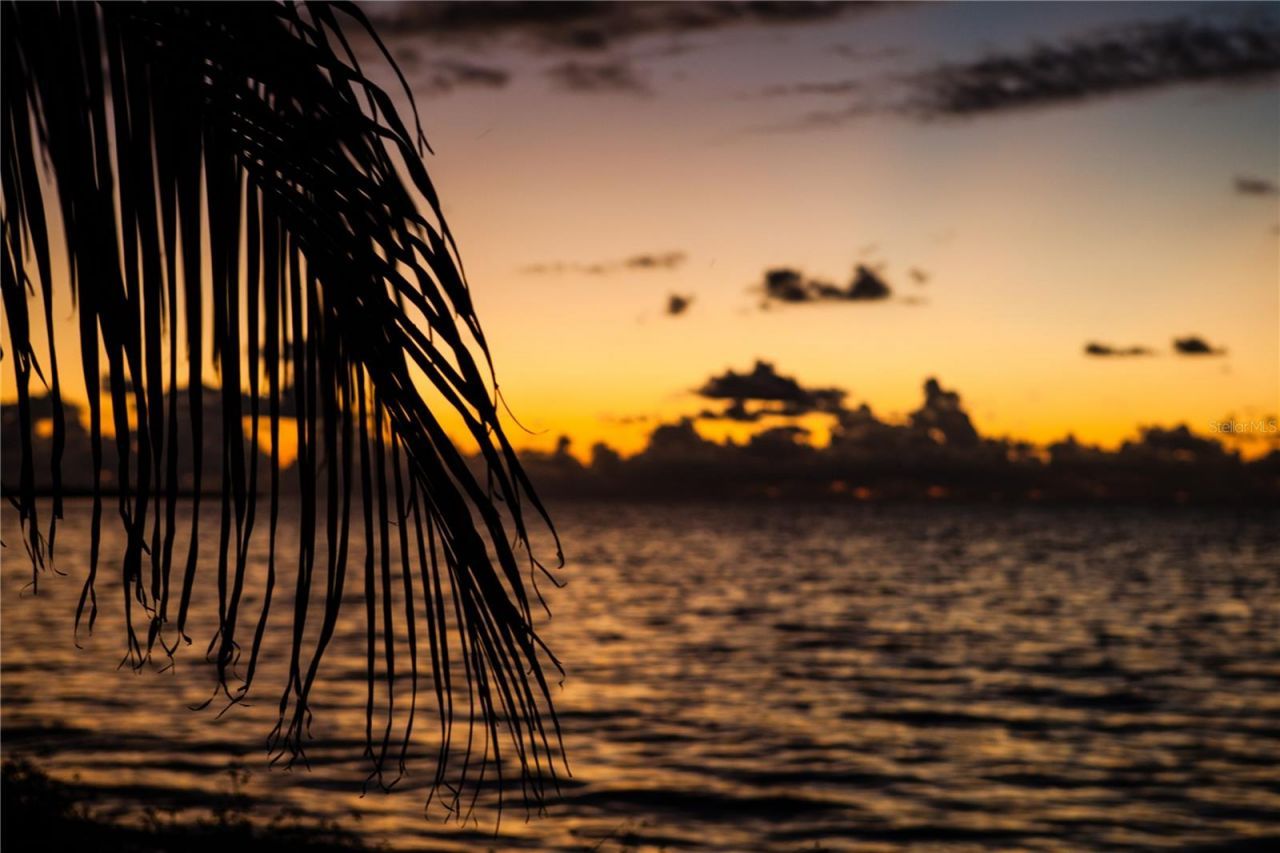 1216 S Missouri Avenue, Unit 220, Clearwater, FL 33756 Photo