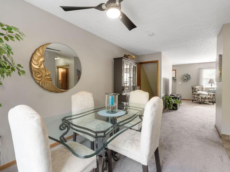 586 Willis Lane, Delaware, OH 43015 Photo 8