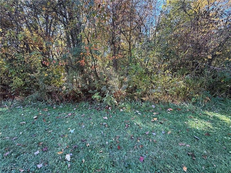 Rome Rock Creek Road, Roaming Shores, OH 44084 Photo 5