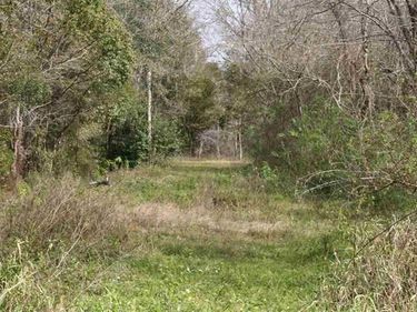 0 E Essex Road, Hastings, FL 32145