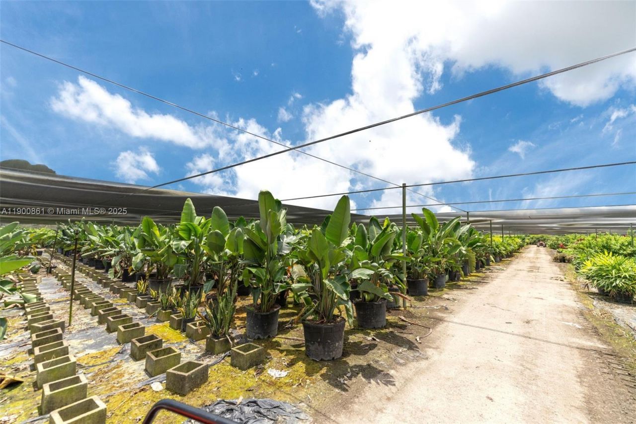 19000 SW Krome Aka 177 Ave, Miami, FL 33187 Photo