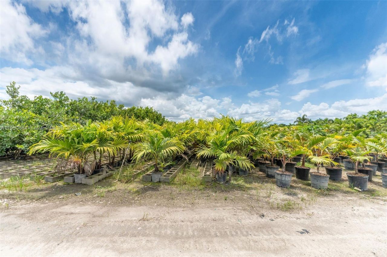 19000 SW Krome Aka 177 Ave, Miami, FL 33187 Photo