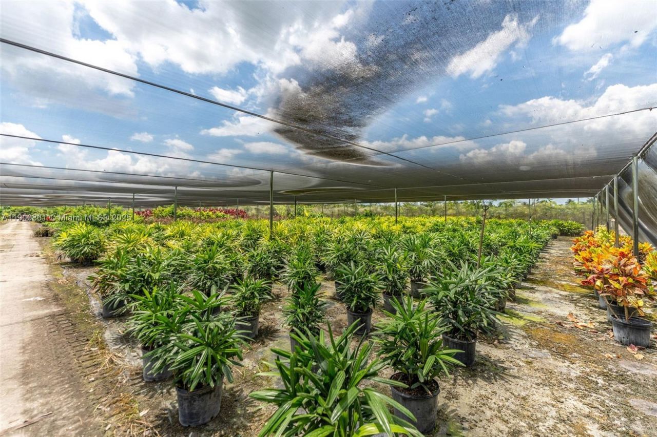 19000 SW Krome Aka 177 Ave, Miami, FL 33187 Photo