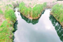 1789 Two Notch Road photo 4