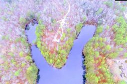 1789 Two Notch Road photo 4