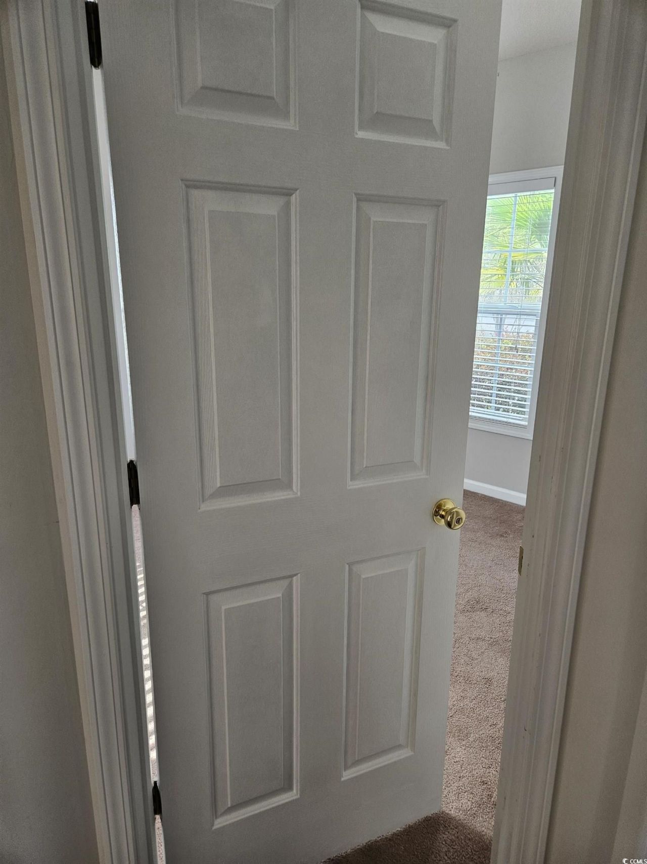 237 Moonglow Circle Photo 19