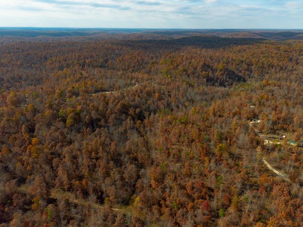 15682 Winding Trail, Birch Tree, MO 65438