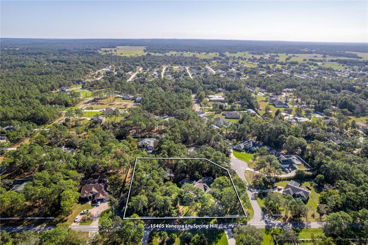 15405 Vanessa Lane, Brooksville, FL 34604 Photo