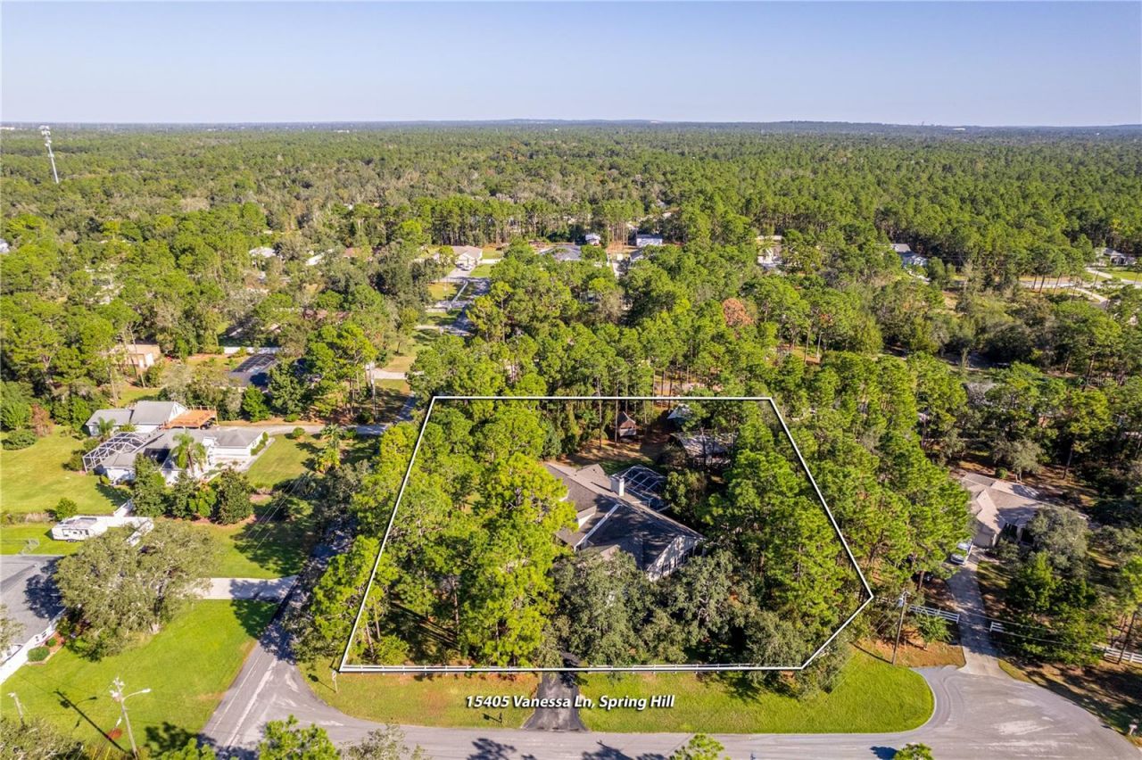 15405 Vanessa Lane, Brooksville, FL 34604 Photo